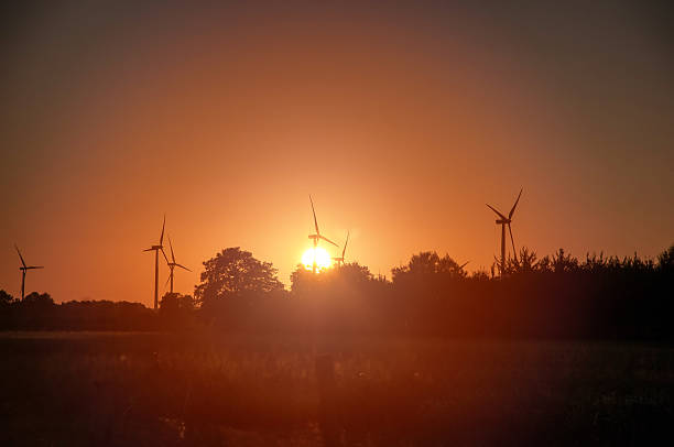 istock An image of windmills at sunset 602300724