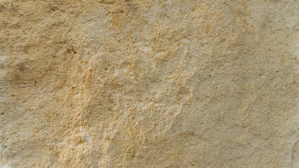 istock Diplopora Dolomite Rock Layers. Pen for scale. 602300974