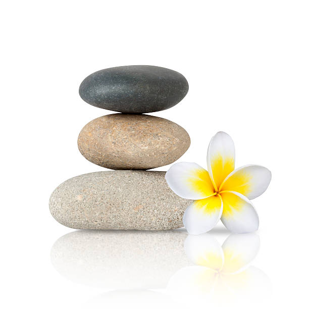 istock Zen stones concept with frangipani flower 602304608