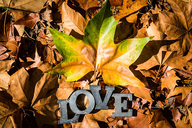 istock message of love with metal letters 602314086