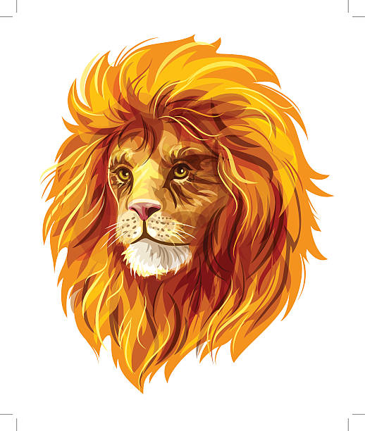 Vector lion vector art illustration