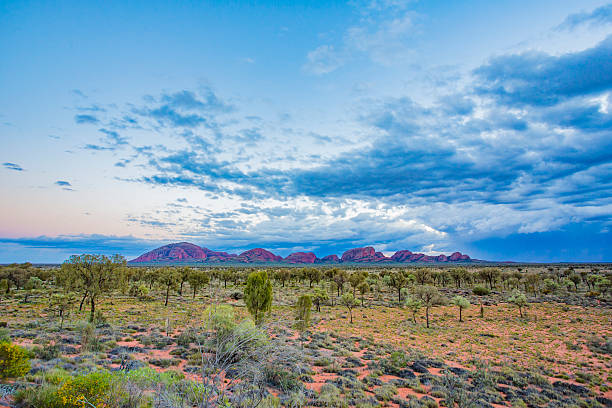 kata tjuta australie lever du soleil avec des nuages d’orage de pluie - uluru australia northern territory sunrise photos et images de collection