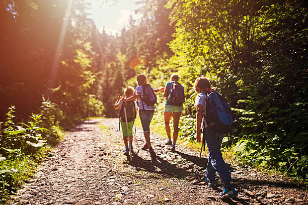 istock Mother and kids hiking in sunny forest 602319772
