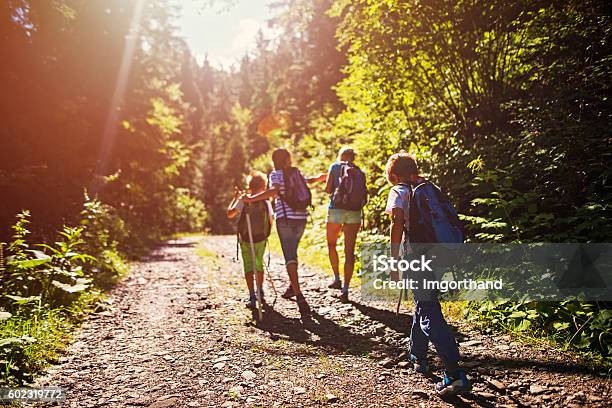 Mother And Kids Hiking In Sunny Forest Stock Photo - Download Image Now - Hiking, Family, Child
