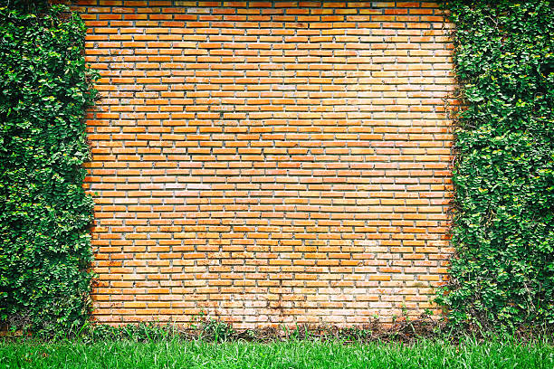 istock Ivy leaves with brown or orange brick wall background 602323772