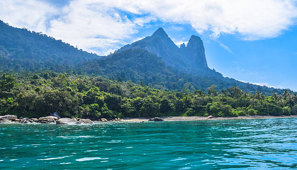 Tioman island in Malaysia Tioman island in Malaysia - one of the world's most beautiful islands xxi stock pictures, royalty-free photos & images