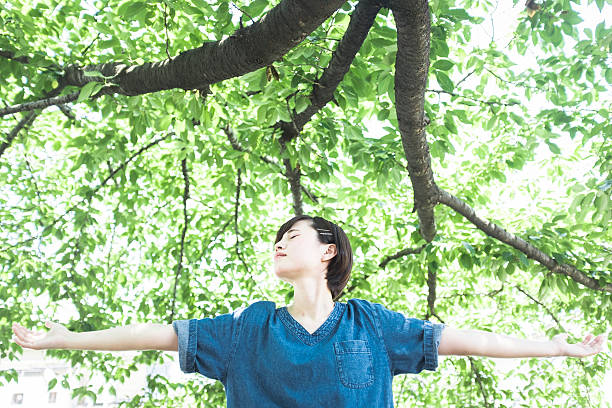 japonská žena portrét ve stínu stromu - dobrovolná skromnost životní styl fotky - stock snímky, obrázky a fotky
