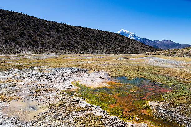 geyser junthuma, formato da attività geotermica. bolivia - geyser nature south america scenics foto e immagini stock