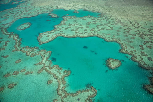 Aerial view of the Heart reef in the Whitsundays Islands.