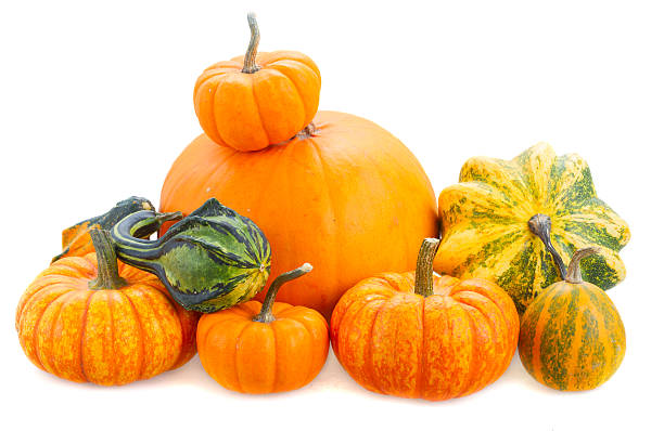 istock Pile of pumpkins 602327742