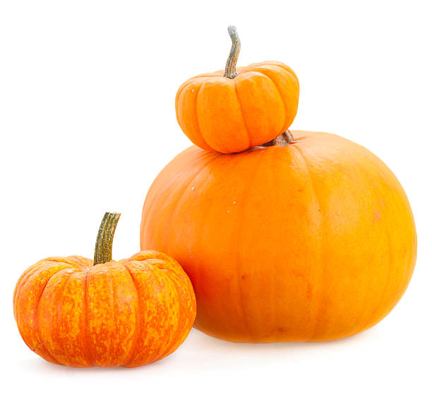 istock Pile of pumpkins 602327876