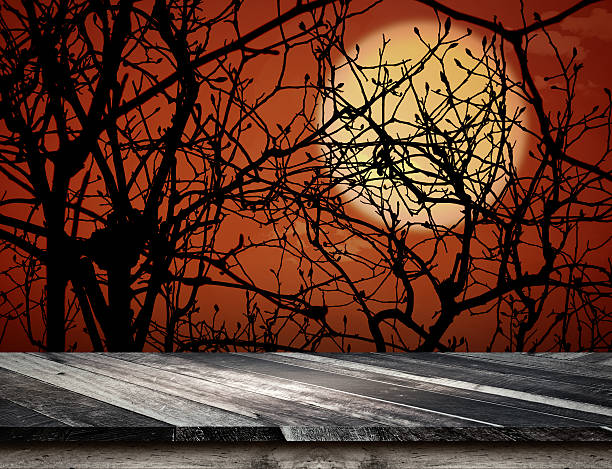 istock Empty grunge plank wooden table top at spooky tree 602327948