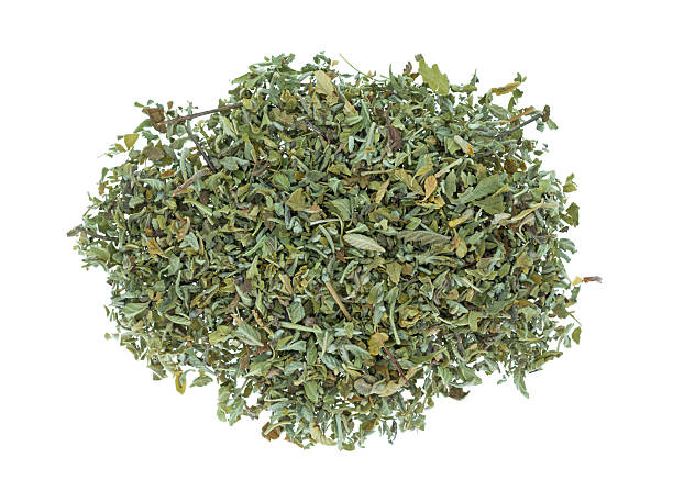 istock Portion of damiana leaf on a white background 602328596