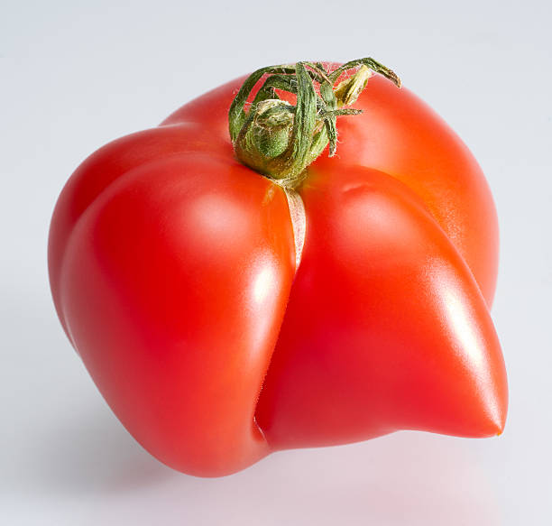 奇妙な形のトマト - moistness ストックフォトと画像