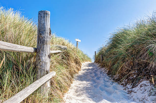 istock Beach and dunes with beachgrass in summer 602329026