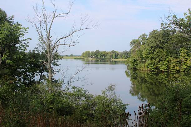 istock View of Lake in between the Trees 602330240