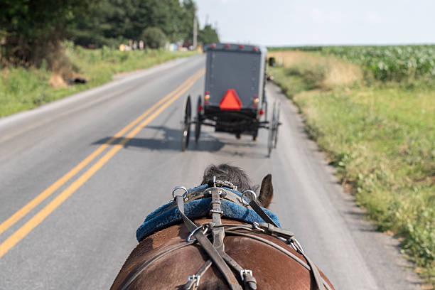 istock wagon buggy in lancaster pennsylvania amish country 602330302
