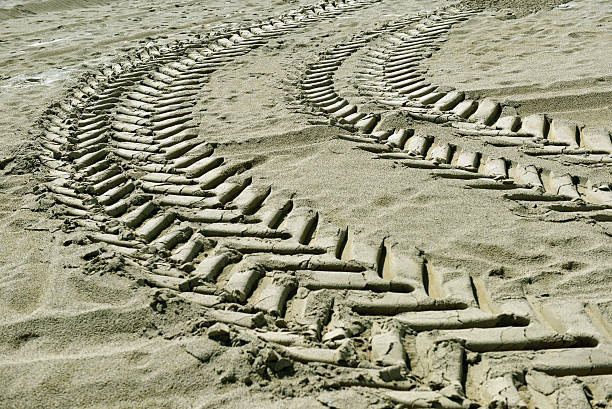 istock tire tracks in the sand 602331912