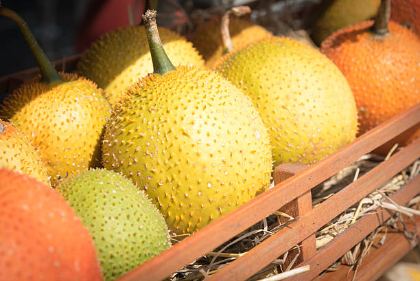 momordica cochinchinensis – fruits gac - cochinchin photos et images de collection