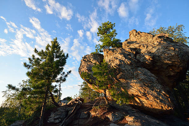 pin au sommet de la roche, beau ciel nuageux - beautiful tree day rock photos et images de collection
