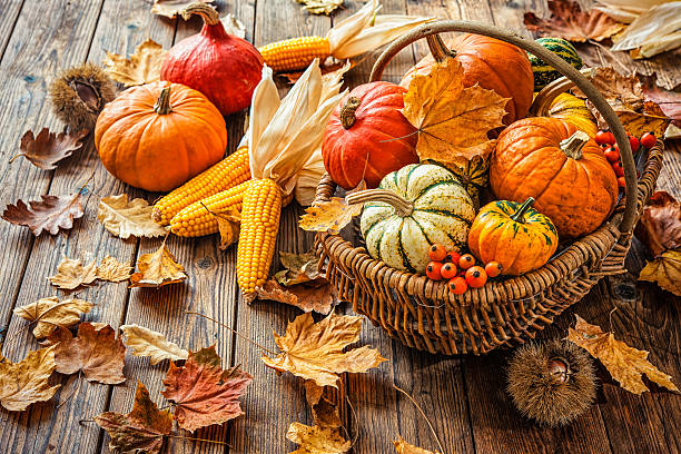 Autumn still life with pumpkins, corncobs and leaves Autumn still life with pumpkins, corncobs and leaves on wooden background gourd photos stock pictures, royalty-free photos & images
