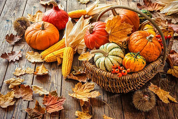Photo of Autumn still life with pumpkins, corncobs and leaves