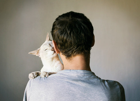 A man with his white Siamese cat on his shoulder. Selective focus.