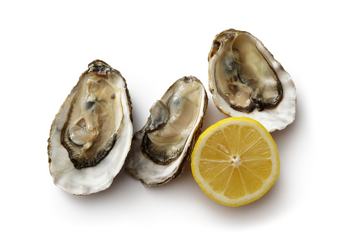 http://www.stefstef.nl/banners2/seafood.jpg