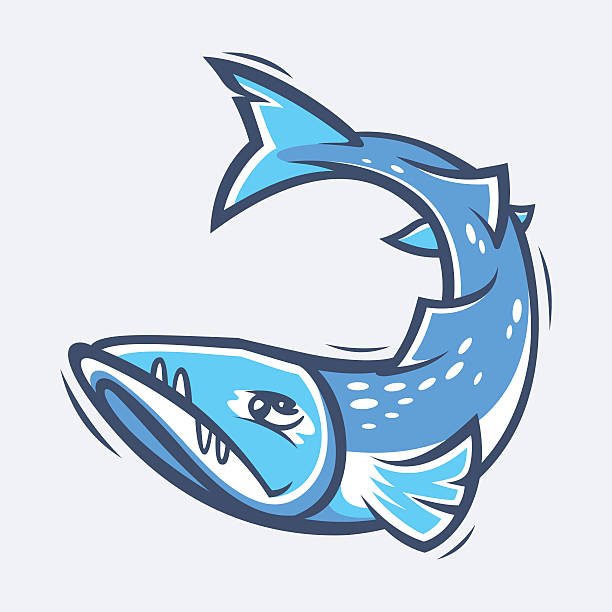illustrations, cliparts, dessins animés et icônes de illustration vectorielle de la vie marine barracuda - barracuda