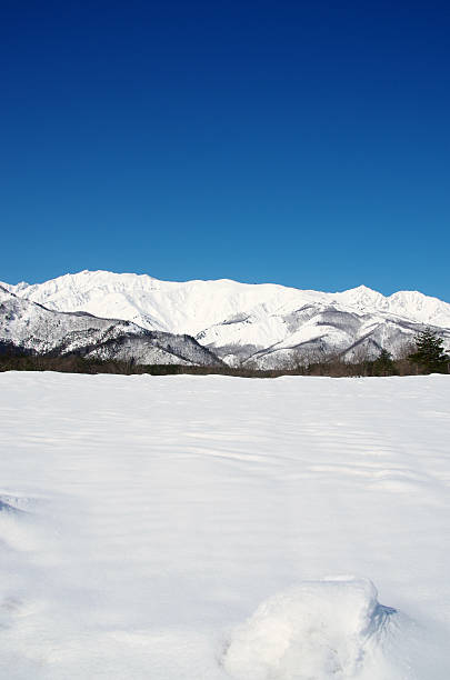 istock Snowy field and the Northern Alps 603155636