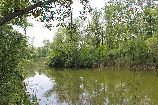 istock Beautiful lake on summer 603155730
