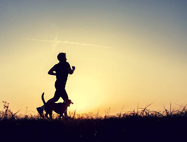 istock Runner and dog silhouttes in sunset light 603155736