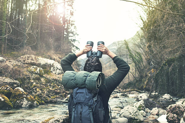 l’observation des oiseaux dans la forêt - solitaire bird photos et images de collection