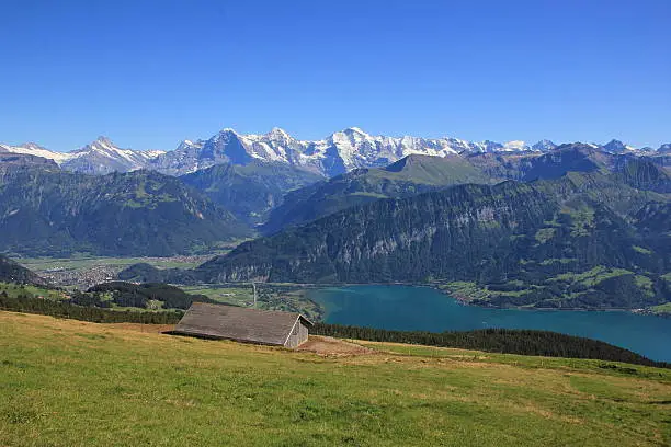 Summer scene in the Swiss Alps. View from Mt Niederhorn. Famous mountains Eiger, Monch and Jungfrau. Blue Lake Thunersee.