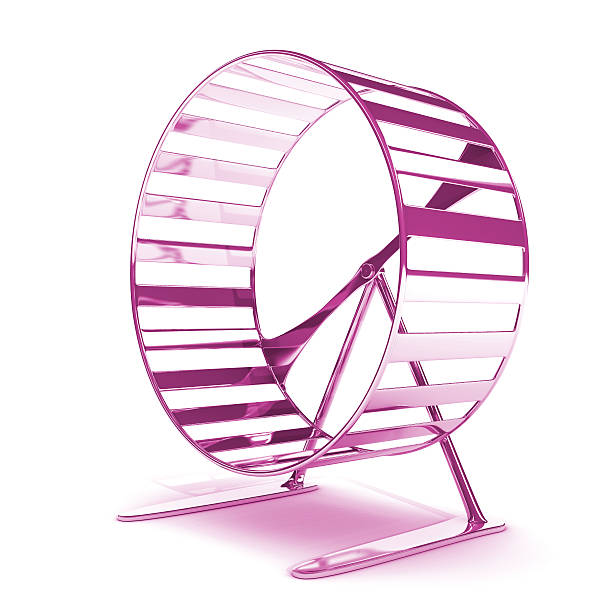 istock purple hamster wheel 603161060