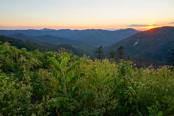 istock Brown Mountain Overlook sunset, Shenandoah National Park 603162490