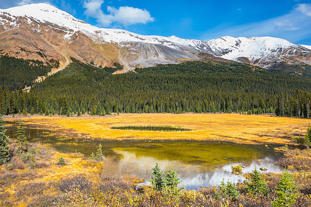 istock Sunny day in Rocky Mountains 603163230