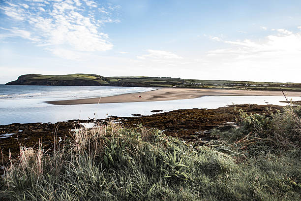 istock Newport beach, pembrokeshire Coastal Park, UK 603164620