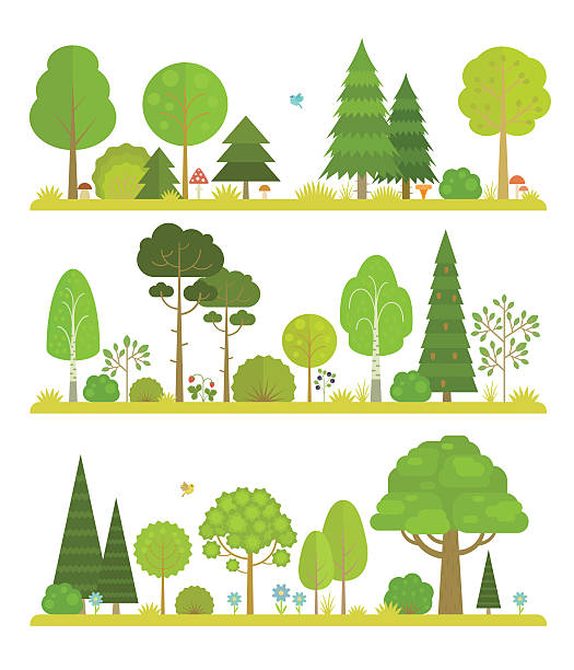 ilustraciones, imágenes clip art, dibujos animados e iconos de stock de paisajes del bosque - pine tree evergreen tree backgrounds needle