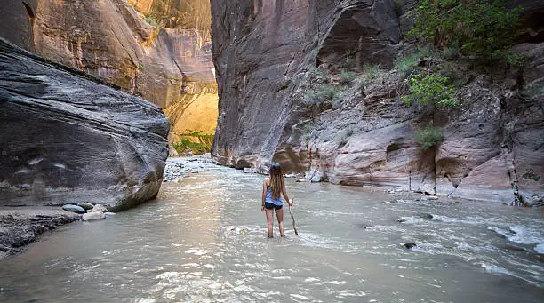 Photo of The Narrows of Virgin River, Zion National Park, Utah, USA