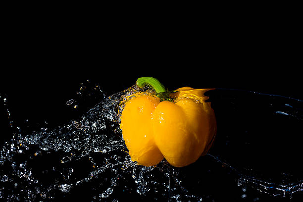 Yellow paprika with water splash on black