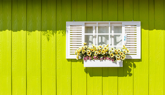 White window and wooden walls yellow. It's colorful.