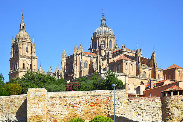 istock Old and New Cathedrals in Salamanca 603174888