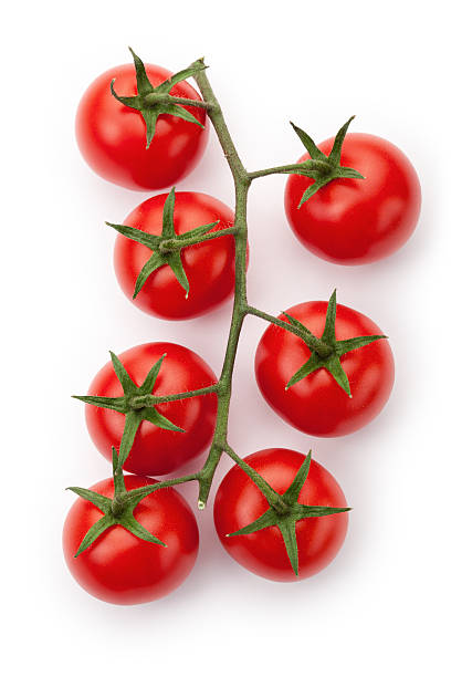 Ripe cherry tomatoes Ripe cherry tomatoes on white cherry tomato stock pictures, royalty-free photos & images