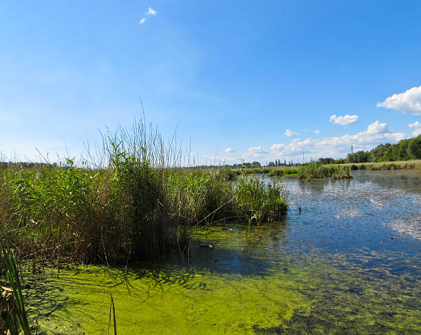 istock Beautiful lake and blue sky on summer 603175308