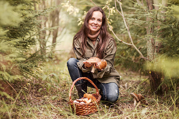 Alla raccolta dei funghi. - foto stock