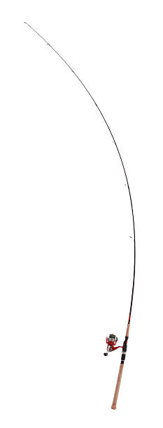 istock Curved Ultra light fishing rod for catching predatory fish 603177168