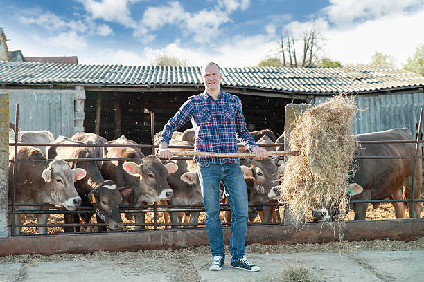 istock man farmer working on farm with dairy cows 603177522
