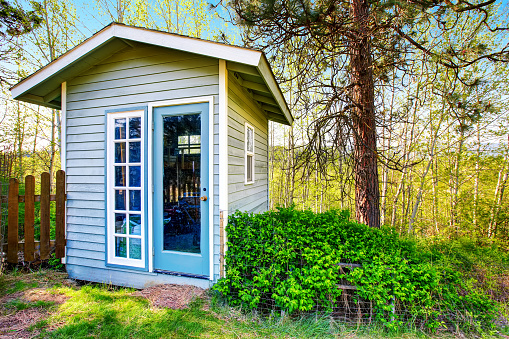 Small blue shed close-up. Forest landscape in the background. Northwest, USA