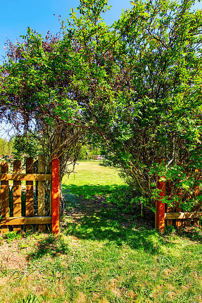 istock Wooden fence with green arch 603179316